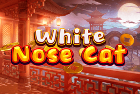 KAGaming | White Nose Cat Mobile