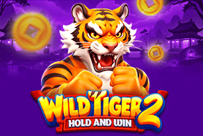BGaming | Wild Tiger 2
